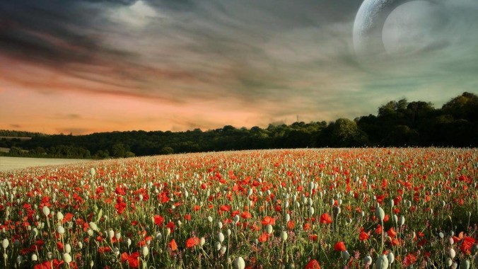 为什么男生都不喜欢173身高的女生啊?